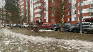 2025‑й бьет рекорды — Центральная Россия на пути к самому теплому году в истории