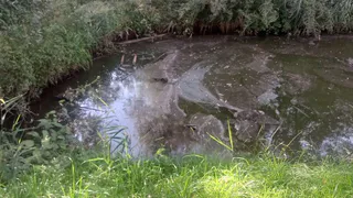 Рязанцы просят вернуть освещение в парке у пруда "Серая Шейка"