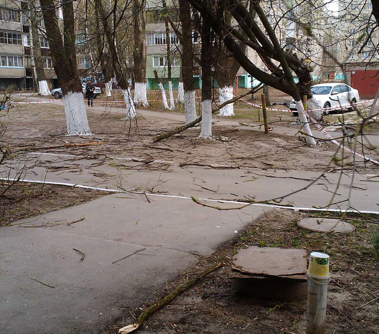 В Рязани не нашлось организации, готовой убрать сломанную ветку, повисшую на проводах