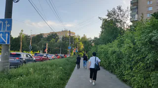 Рязанская область — малиновое сердце России: куда ещё ехать за ягодами этим летом