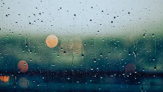 Во вторник в Рязани будет тепло, но дождливо