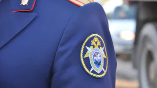 Бастрыкин поручил провести проверку по жалобам арендаторов рязанского бизнес-центра НИТИ 