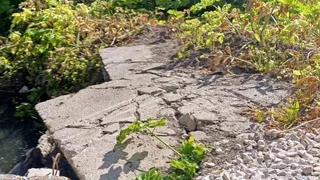 Жители сёл под Рязанью требуют убрать свалку у ручья Серебрянка