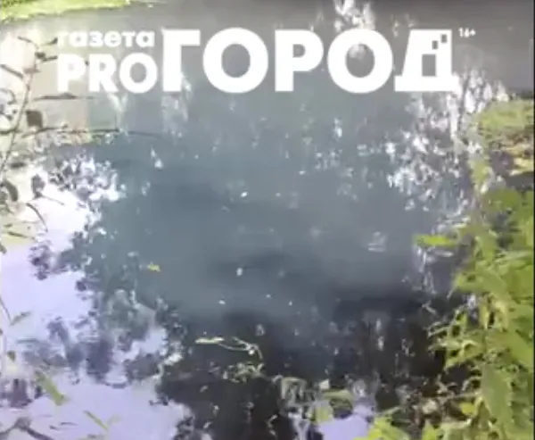 По факту загрязнения реки Кердь назначена судебная экспертиза
