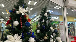 В Светофоре полки забиты новогодними товарами: присмотрела гирлянду-занавес за 565 р и большой набор шаров за 300 р - таких цен уже не будет