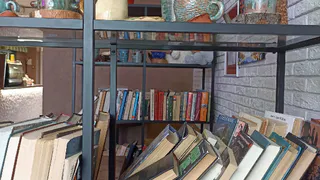 В Рязанской библиотеке имени Горького завелись древние существа
