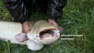 Чувствуете, вода попахивает? Вам показалось - в мэрии считают, что все нормально