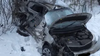 Под Рязанью "Киа" влетела в грузовик. От машины осталась груда металла