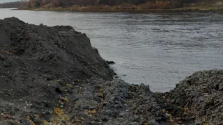 Минприроды России: Рязанская область вошла в ТОП-10 по загрязненности почвы