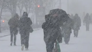 В Рязани 2 апреля прогнозируют сильный ветер и снег с дождём
