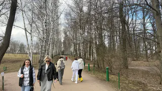 Рязанцы чаще стали прибегать к страхованию