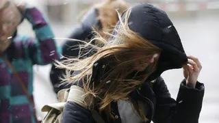 В Рязанской области выпустили метеопредупреждение из-за ветра днем 27 мая