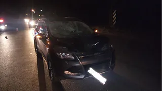 В Рязани сбили двух пешеходов, одного не удалось спасти