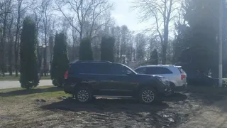 Мэр Рязани Сорокина хочет увеличить штрафы за парковку на зелёной зоне