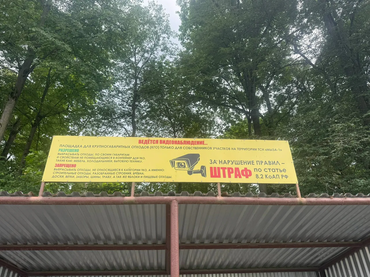 В Рязани в Центральном парке из котлована достали двух детей