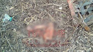Убила и заявила об исчезновении: в Скопине женщина расчленила свою знакомую