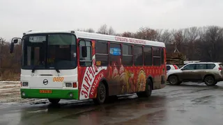 В Крещенскую ночь бесплатные автобусы отвезут всех желающих до Орехового озера