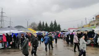 «Парк превратят в базар?»: мэрия Рязани официально подтвердила ярмарку в ЦПКиО на пять месяцев

