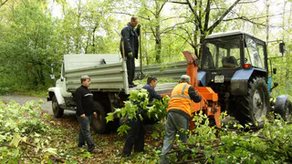 Задавил трактор: под Рязанью погиб гражданин Узбекистана