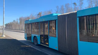 Жительница Рязани отсудила 20 тысяч рублей после опасной ситуации на дороге