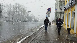 В Рязанской области неделя начнется с мокрого снега