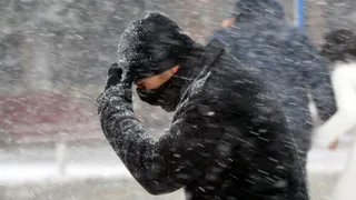  В Рязанском регионе 23 февраля ожидается усиление ветра