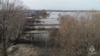 3 апреля в Рязанской области ожидаются порывы ветра до 20 метров в секунду