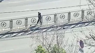 На улице Новоселов в Рязани девушка помогла утке перевести утят через дорогу