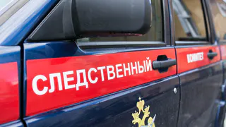 В Рязани 48-летнего мужчину отправили под арест по делу об убийстве матери