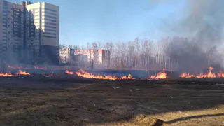 Пылающие поля: возле домов на улице Шереметьевской подожгли траву