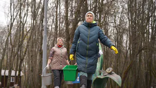 Жителей Рязани позвали на массовую высадку деревьев в Лесопарке