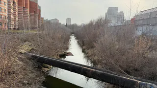 В Рязани жители пожаловались на загрязнение ручья