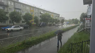 Град с перепелиное яйцо атаковал рязанские машины и огороды