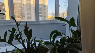 Окна не будут притягивать пыль неделями: хитрый трюк, который используют профессиональные мойщики перед летом
