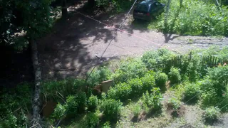 В воскресенье будет пасмурно и дождливо