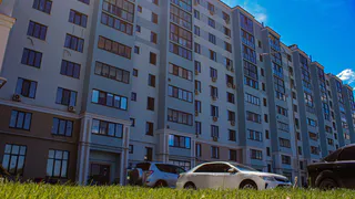 Теперь штрафы можно обжаловать через Госуслуги
