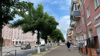 Рязань вошла в пятерку самых безопасных городов России