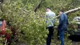 Пострадало два автомобиля: в Горроще упало дерево