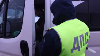 В Рязани дерево рухнуло на проезжую часть и машины