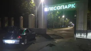 В Рязани нашли вандалов, разгромивших ворота в Лесопарке 