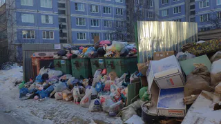 Жители Рязани пожаловались на плохую уборку контейнерных площадок