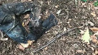 Под Рязанью нашли труп неизвестной женщины