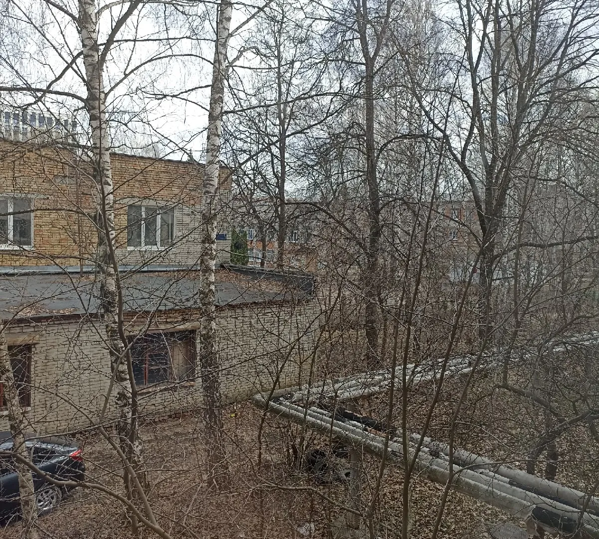 В Рязани два дня фиксировали превышение оксида азота в воздухе