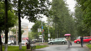 22 июня в Рязанской области потеплеет, ожидаются дожди с грозами