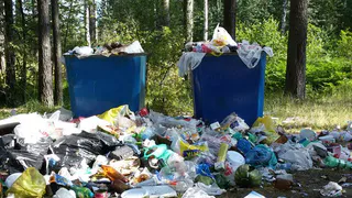 Свалка на Ласковском озере - мусор "забывают" вывозить