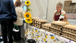 Рязанские фермеры получат новую площадку для ярмарок на Есенина
