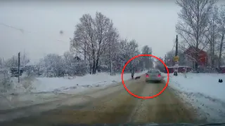 В поселке Мирный девочка и собака едва не оказались под колесами автомобиля. Видео