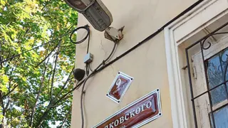 Администрация Рязани опубликовала видео о правилах замены вывесок в городе
