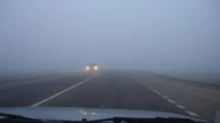 В Рязанской области МЧС предупредили о тумане 11 апреля