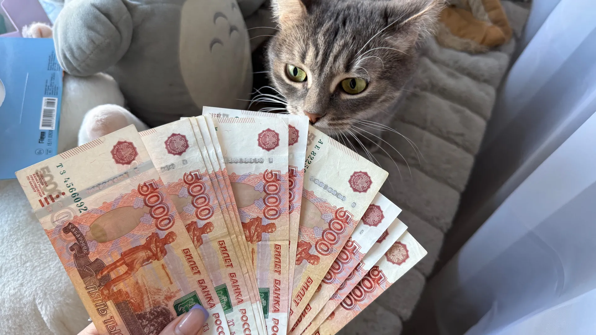 Жители Рязани могут получить кешбэк за оплату ЖКУ